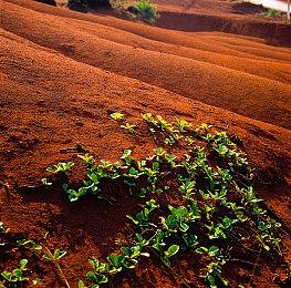 《卡库远古封印》宣布7月12日发售正式版 主机平台稍后上线
