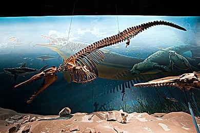 7月24日，勘破无常！ 《明末：渊虚之羽》最终预告上线