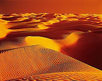 《海贼无双4》明年1月11日新增三名DLC角色