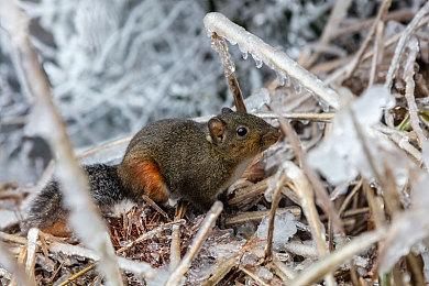 Todd Howard告诉你《星空》一千个星球上有什么
